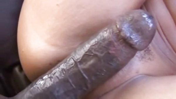 乳房的脂肪牛奶闭式的色情